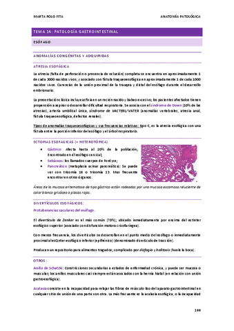 ANATOMIA-PATOLOGICA-tema-14.pdf