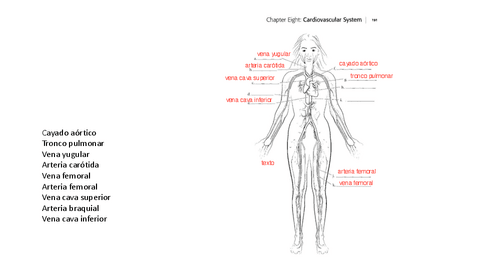Ilustraciones-examen-parcial-2023.pdf