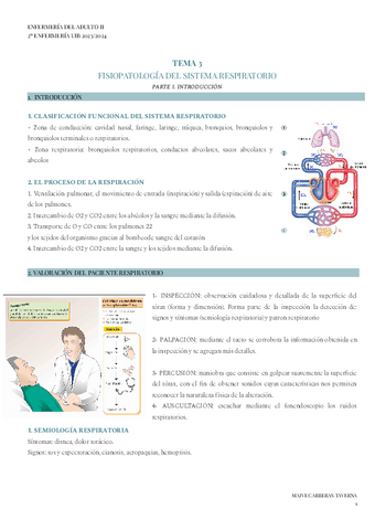 TEMA 3.1 + 3.2 ADULTO II.pdf