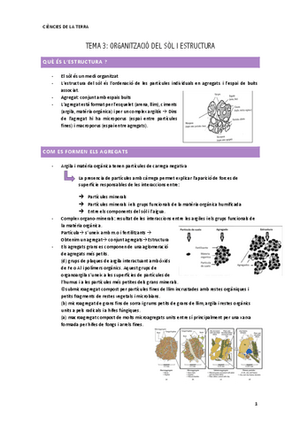 ORGANITZACIO-DEL-SOL-ESTRUCTURA-ct.pdf