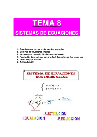 LECCION-8-SISTEMAS-DE-ECUACIONES.pdf