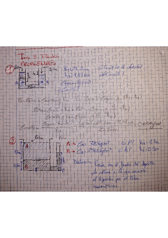 Tema-3-Fluidos.pdf
