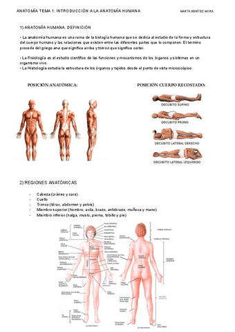 ANATOMIA-TEMA-1-INTRODUCCION-A-LA-ANATOMIA-HUMANA.pdf