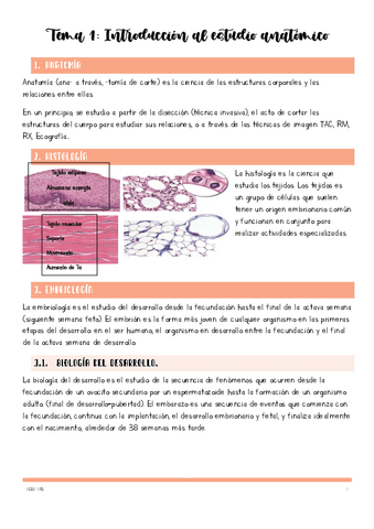 Tema-1-INTRODUCCION-AL-ESTUDIO-ANATOMICO.pdf