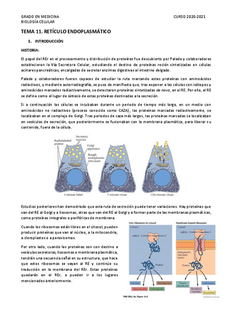 Bloque-III-11-20.pdf