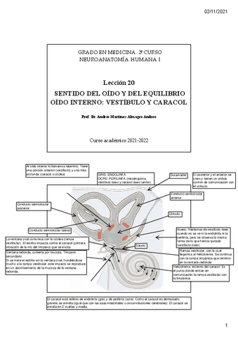 Leccion-20.pdf