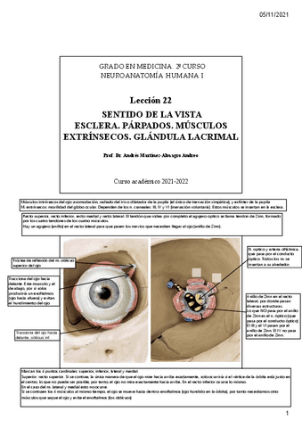 Leccion-22.pdf