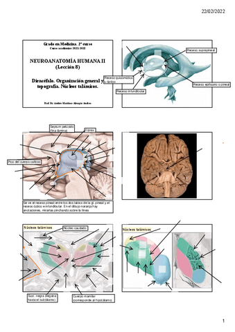 Leccion-8.-Talamounlocked.pdf