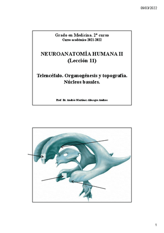 Leccion-11.-Nucleos-basalesunlocked.pdf