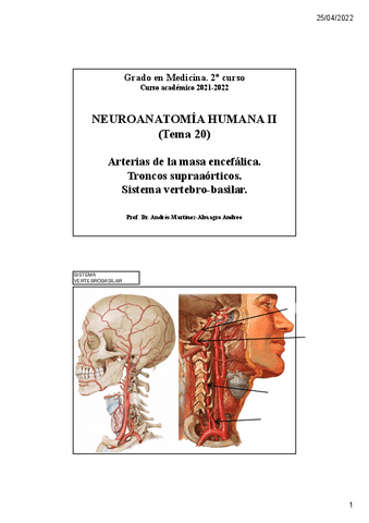 Leccion-20.-Sistema-vertebro-basilarunlocked.pdf
