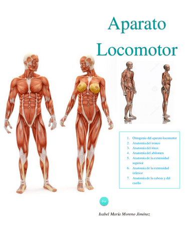 3.-Aparato-locomotor.pdf