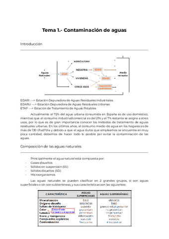 RESUMEN-COMPLETO-TEMA-1.pdf