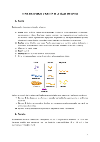 Tema-2-Estructura-y-funcion-de-la-celula-procariota.pdf