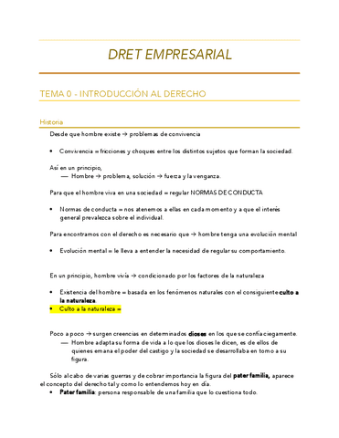 DRET-EMPRESARIAL.pdf