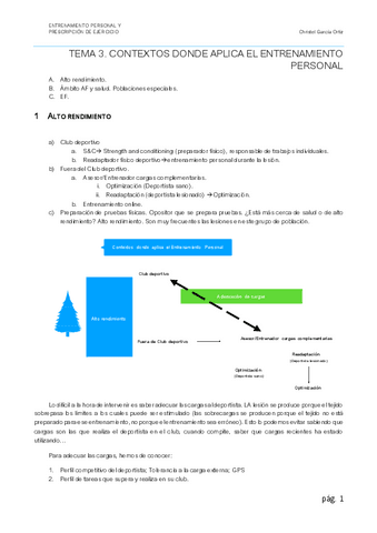 T3.pdf