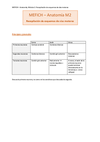 Anatomia-M2-Recopilacion-Tablas-Vias-Descendentes.pdf