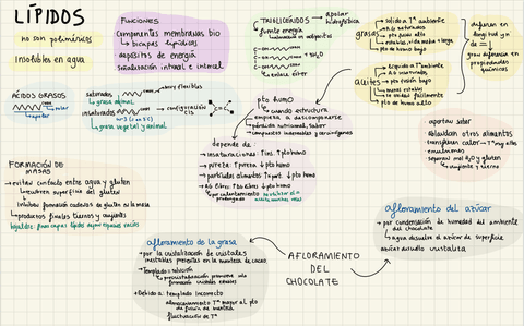 Lipidos.jpg