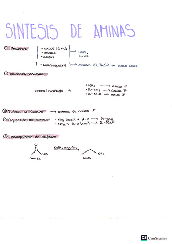sintesis-de-aminas.pdf