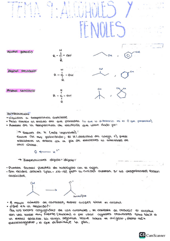 tema-9-alcoholes-y-fenoles.pdf