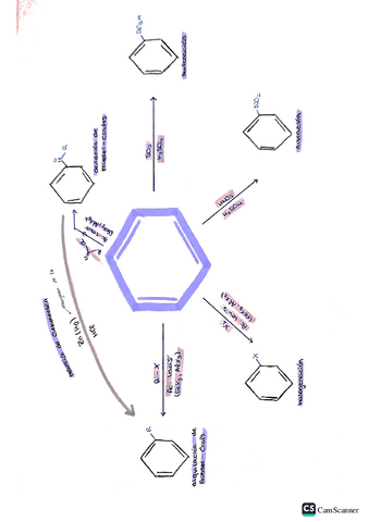 esquema-hidrocarburos-aromaticos.pdf