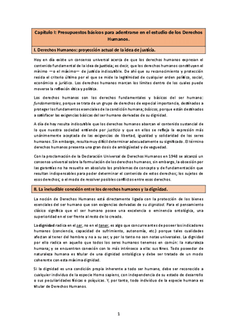 Apuntes-de-Derechos-Humanos.pdf