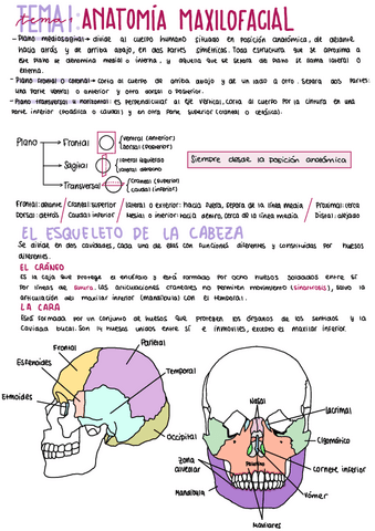 Tema-1-diseno.pdf