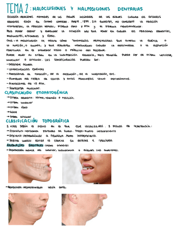 Tema-2-maloclusiones.pdf