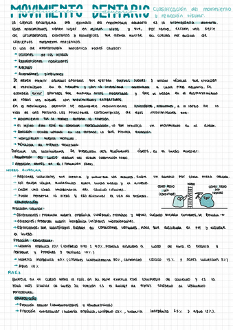 Tema-3-AOF.pdf