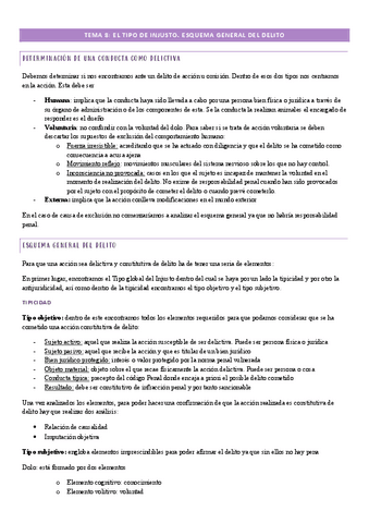 Tema-8-el-tipo-de-injusto.-Esquema-general-del-delito.pdf