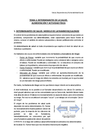 Tema-2-Salud-Dependencia-y-Vulnerabilidad-Social.pdf