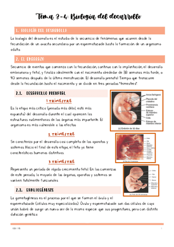 Tema-3-y-4-embriologia.pdf