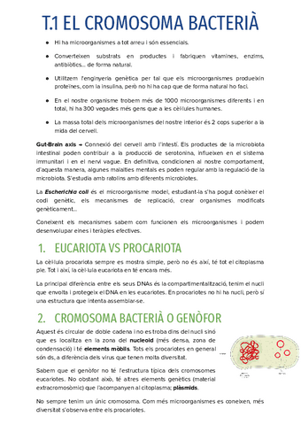 T.1-EL-CROMOSOMA-BACTERIA.pdf