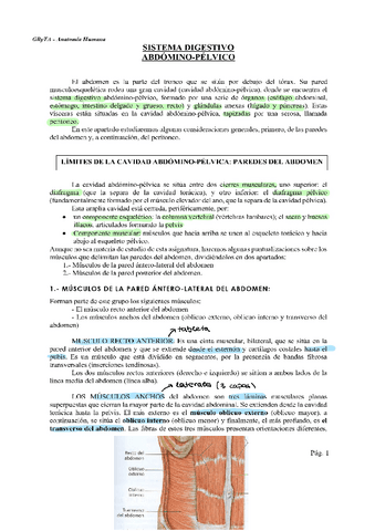 apuntes-abdomen-con-fotos.pdf