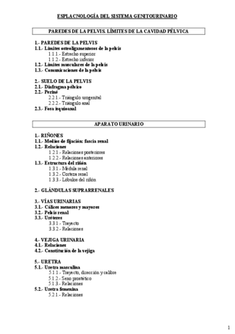 apuntes-pelvis-con-fotos.pdf