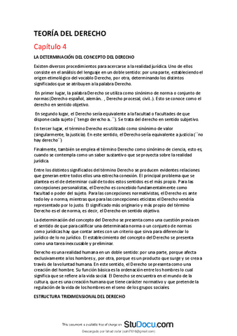 teoria-del-derecho-apuntesremoved.pdf