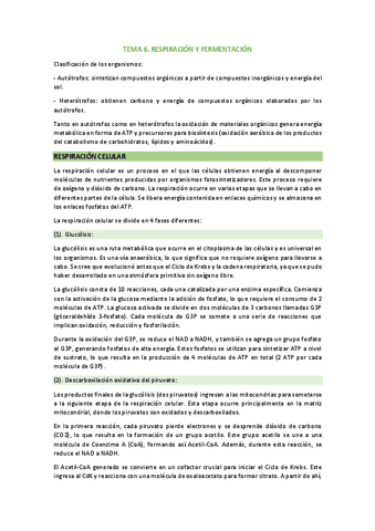 tema-6.-respiracion-y-fermentacion.pdf