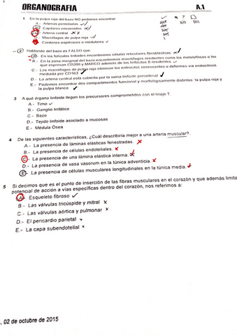Examenes-respi-corregidos.pdf