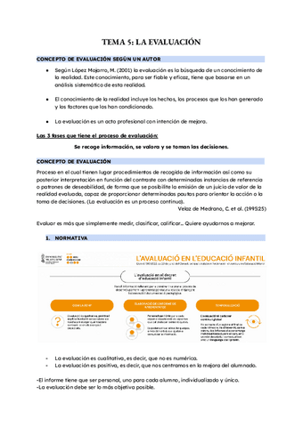 TEMA-5-Didactica.pdf