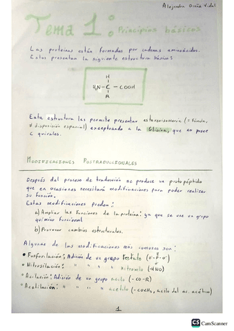 Tema-1-Principios-basicos.pdf