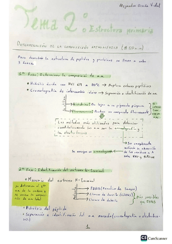 Tema-2-Estructura-primaria.pdf
