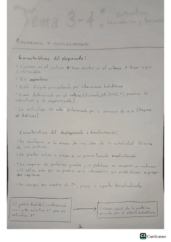 Tema-3-4-Estructura-secundaria-y-terciaria.pdf