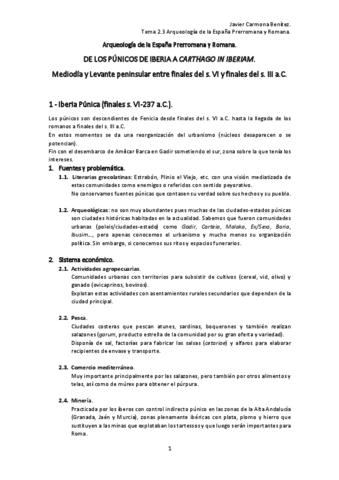 Punicos-y-Cartagineses..pdf