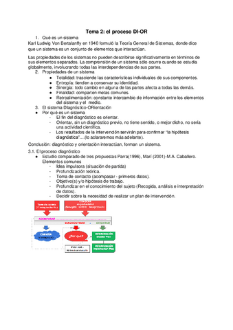 Tema-2-el-proceso-DI-OR.pdf