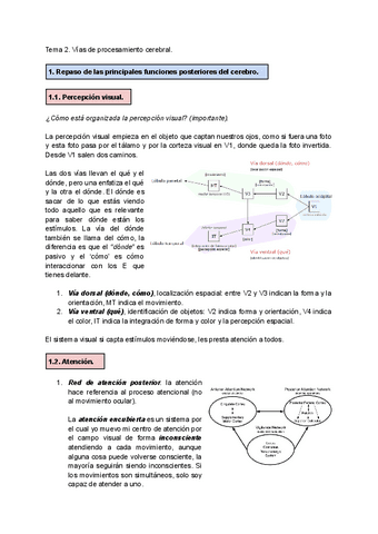 Tema-2.-Funciones-cognitivas-superiores..pdf