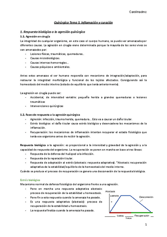 Quirurgica-Tema-3.pdf