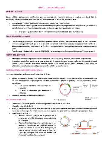TEMA-7.docx.pdf