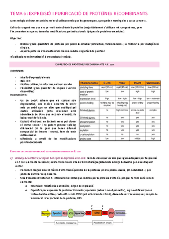 Copia-de-TEMA-6-EXPRESSIO-I-PURIFICACIO-DE-PROTEINES-RECOMBINANTS.docx.pdf