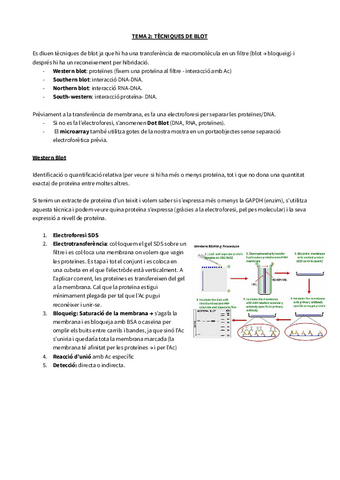 Copia-de-TEMA-2-TECNIQUES-DE-BLOT.pdf