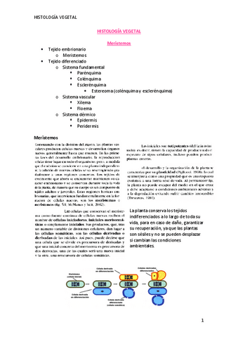 HISTOLOGIA-VEGETAL.pdf