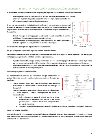 TEMA-1-RM.pdf